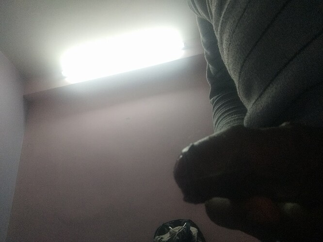 17672117299126273103359611035186