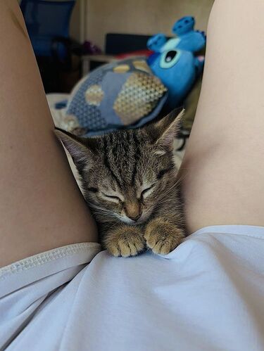 f30ff9f1656f0e9df0e43599b3284867