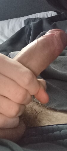 17642541407895882469753919275062