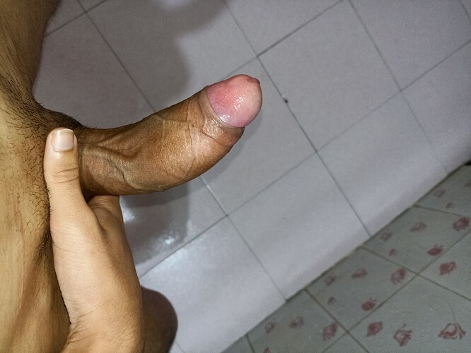 1765177547356704537135106919251