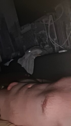 17636860101286268582811045766613