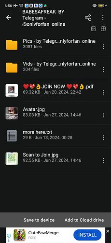 photo_2025-10-13_13-25-10