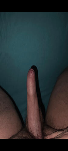 1000008399