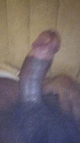 1000008104